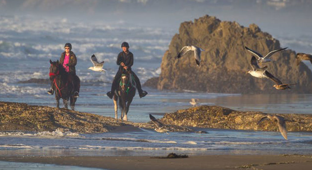 Ricochet Ridge Ranch - Fort Bragg