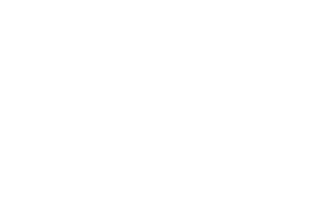 Whale Fest In Fort Bragg On The Mendocino Coast